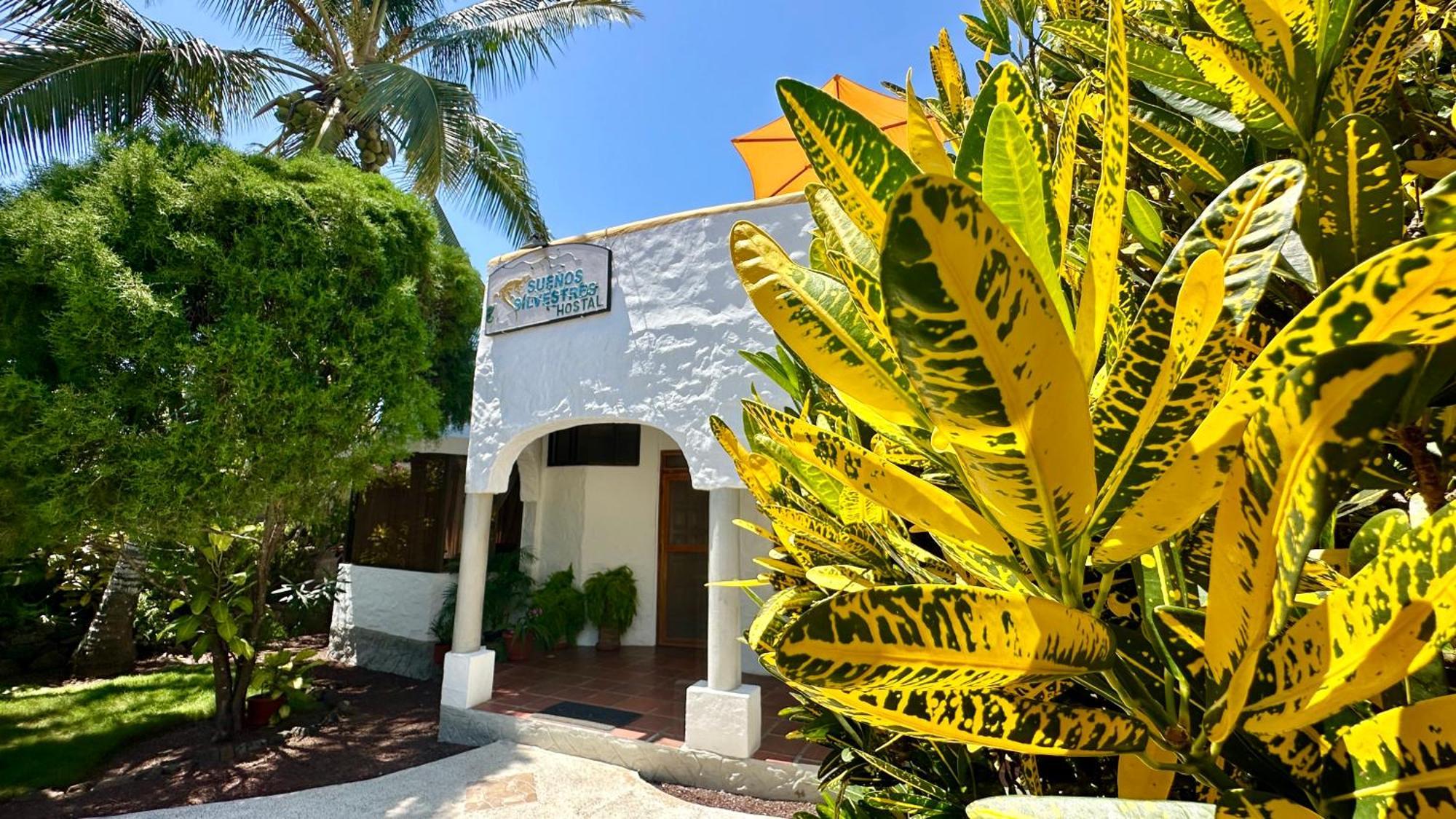 Hostal Suenos Silvestres Пуэрто-Айора Экстерьер фото