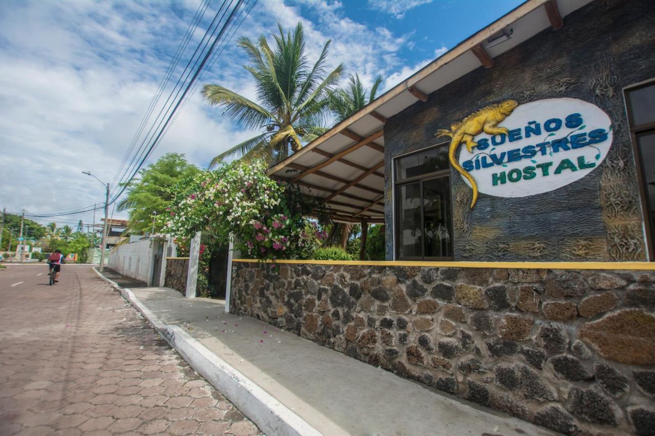 Hostal Suenos Silvestres Пуэрто-Айора Экстерьер фото
