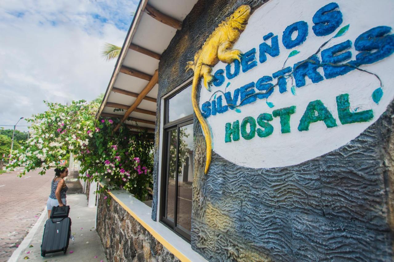 Hostal Suenos Silvestres Пуэрто-Айора Экстерьер фото